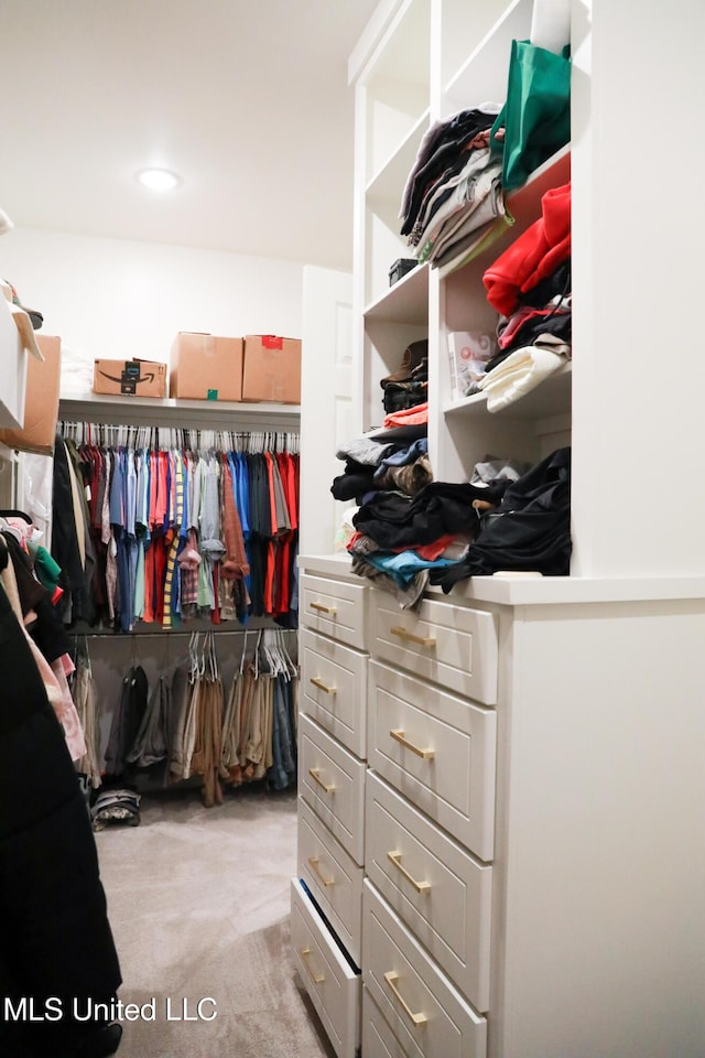 spacious closet with light carpet