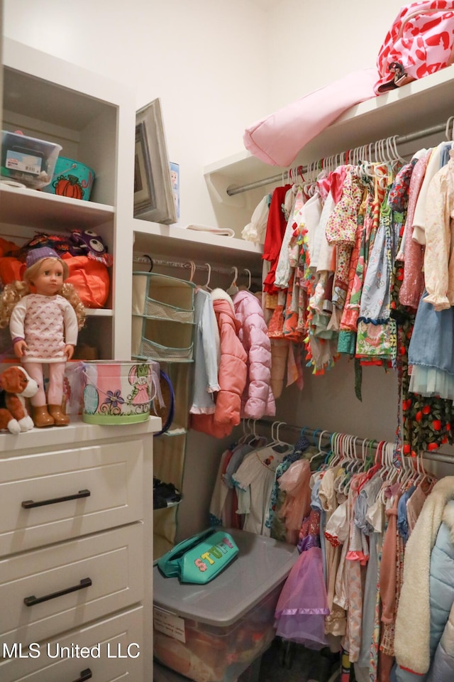 view of spacious closet