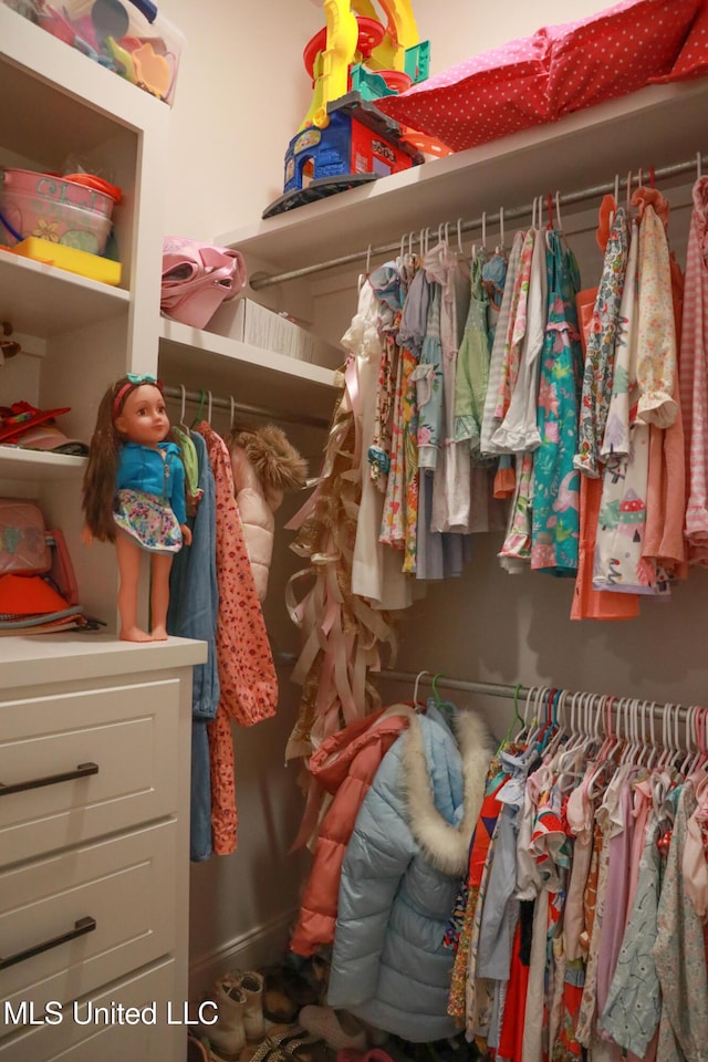 view of walk in closet