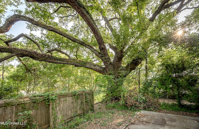 319 Washington Ave, Ocean Springs, MS 39564 - view of yard