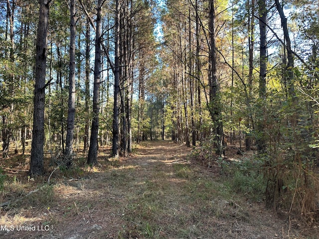 Fox Rd, Bogue Chitto MS, 39629 land for sale