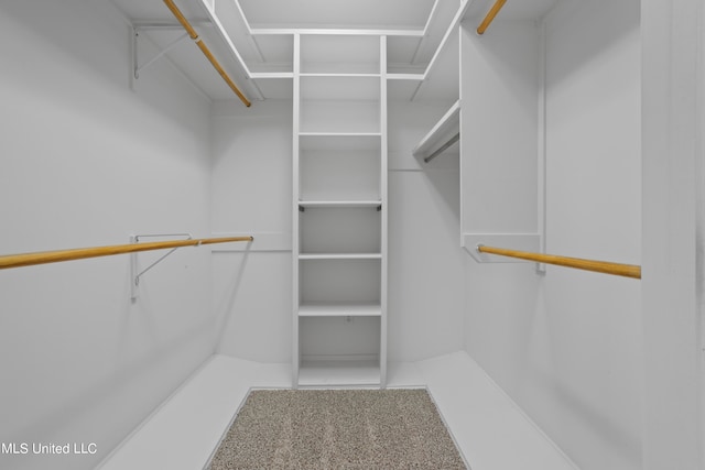 walk in closet with carpet floors