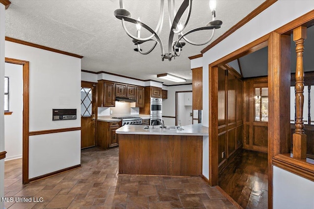 kitchen featuring a textured ceiling, a chandelier, ornamental molding, sink, and stainless steel appliances