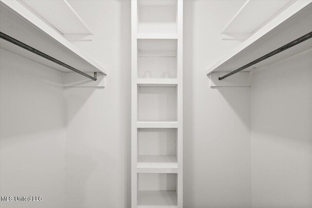 view of walk in closet