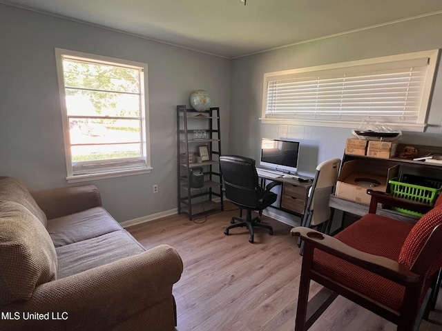 206 Shields Ave, Pelahatchie, MS 39145 - office area featuring light wood-type flooring, crown molding, and baseboards