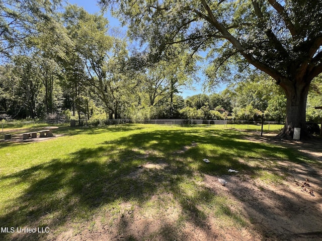 206 Shields Ave, Pelahatchie, MS 39145 - view of yard