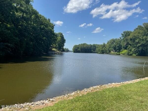 11319 Wren Rd, Hernando, MS 38632 - water view featuring a forest