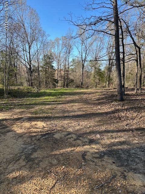 No Sunset Drive, Coldwater MS, 38618 land for sale