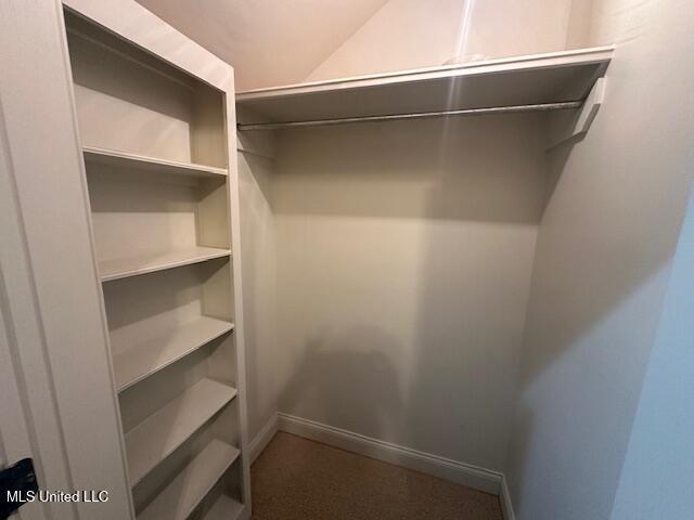 113 Hastings Ave, Brandon, MS 39042 - spacious closet with vaulted ceiling
