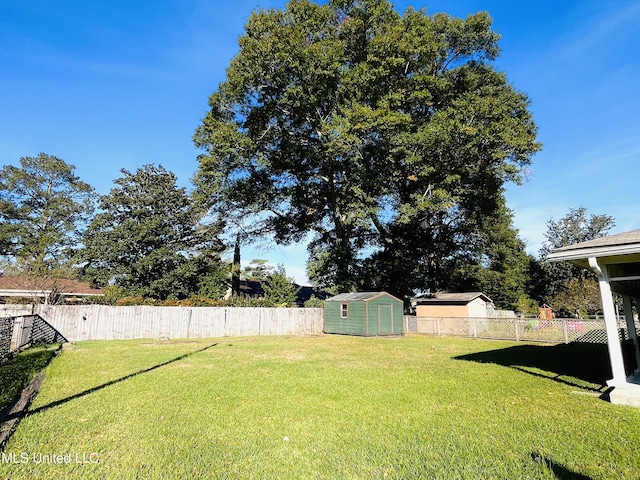 view of yard with a shed