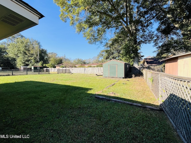 view of yard featuring a shed