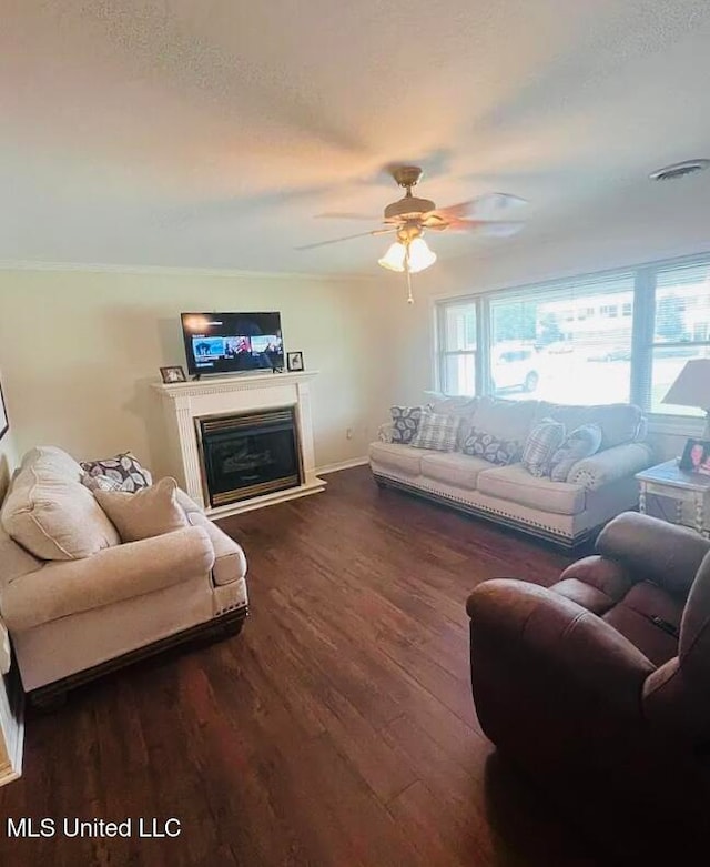 living room with ceiling fan and dark hardwood / wood-style floors