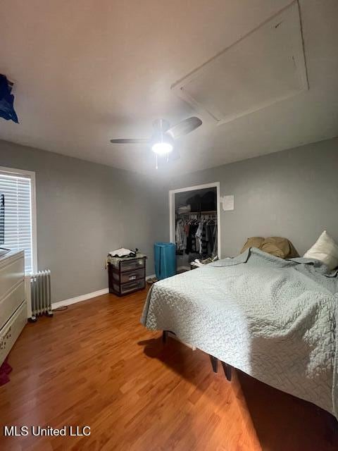 bedroom with a closet, a walk in closet, wood-type flooring, radiator heating unit, and ceiling fan