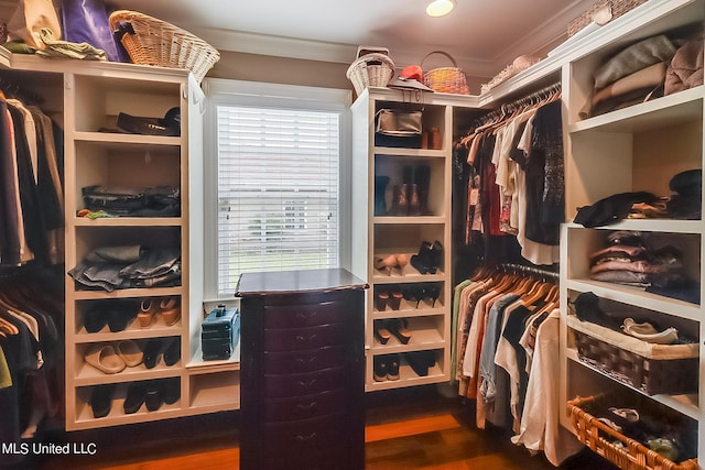 1 Bayou View Dr, Gulfport, MS 39507 - spacious closet with dark wood-type flooring