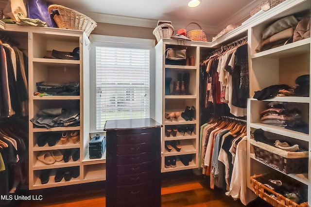 spacious closet featuring wood-type flooring