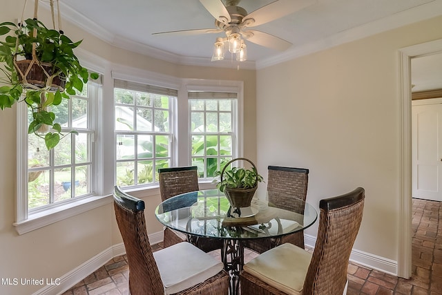 dining space with crown molding, a healthy amount of sunlight, and ceiling fan