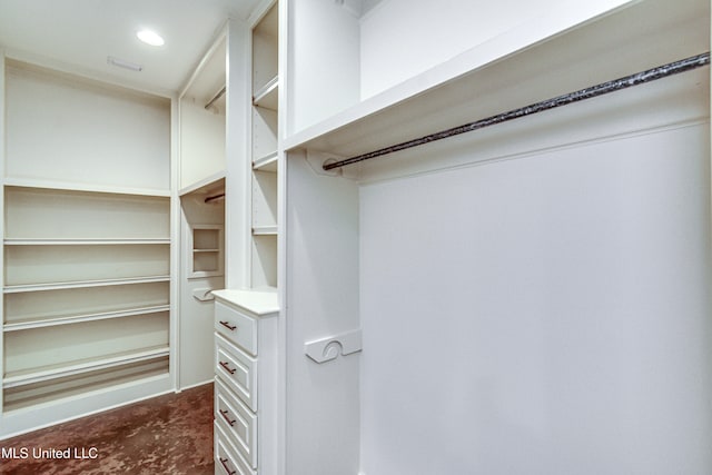 view of walk in closet