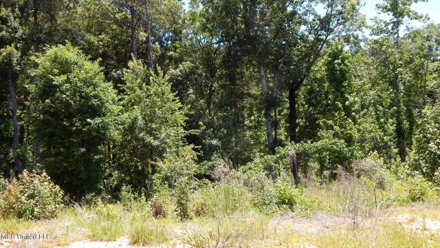 806 Hugh White State Park Rd, Grenada, MS 38901