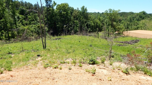 806 Hugh White State Park Rd, Grenada, MS 38901