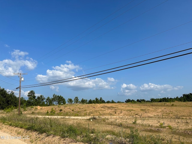 Listing photo 3 for Coors Springs Rd, Crystal Springs MS 39059