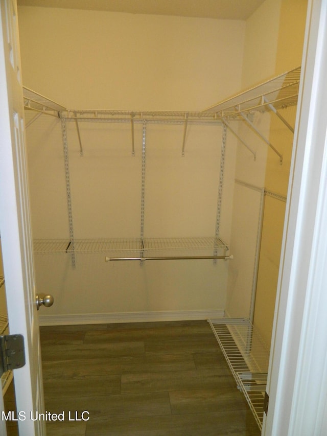 spacious closet featuring dark wood-style floors