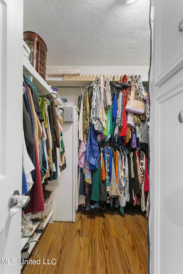 spacious closet with hardwood / wood-style flooring