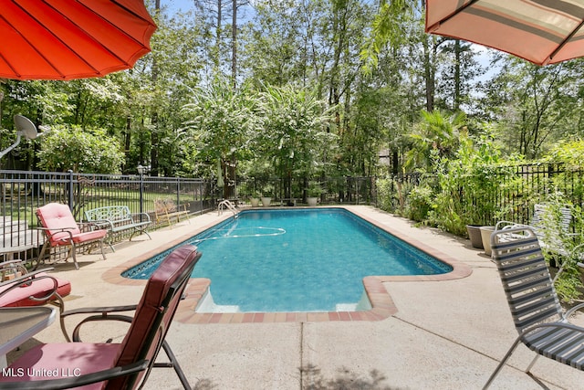 view of swimming pool with a patio