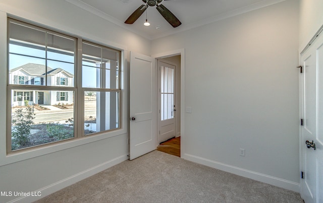 interior space with ceiling fan, plenty of natural light, crown molding, and light carpet