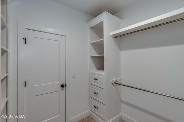 spacious closet featuring carpet floors