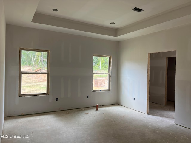 spare room with plenty of natural light and a tray ceiling