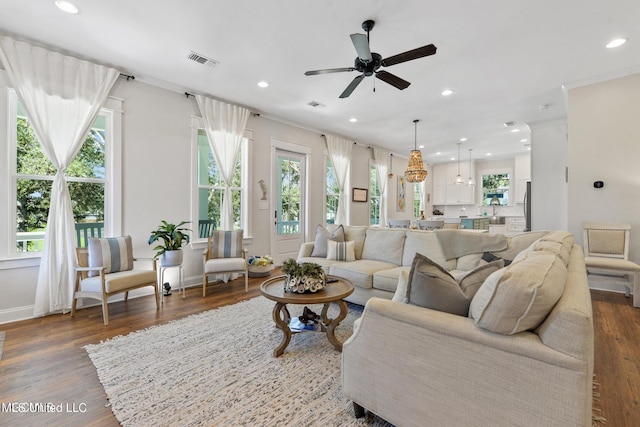 living room featuring a wealth of natural light, dark hardwood / wood-style floors, and ceiling fan