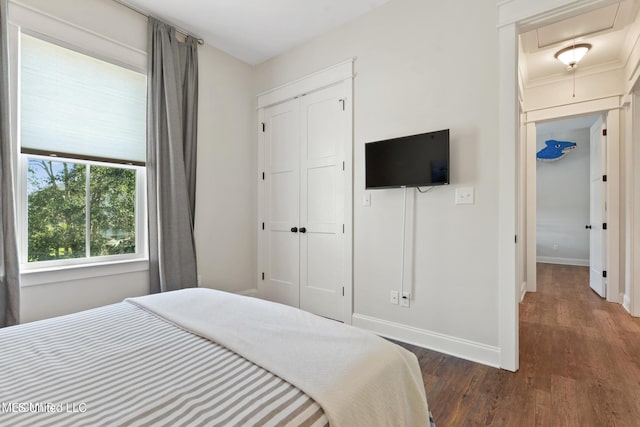 bedroom featuring dark wood-type flooring and a closet