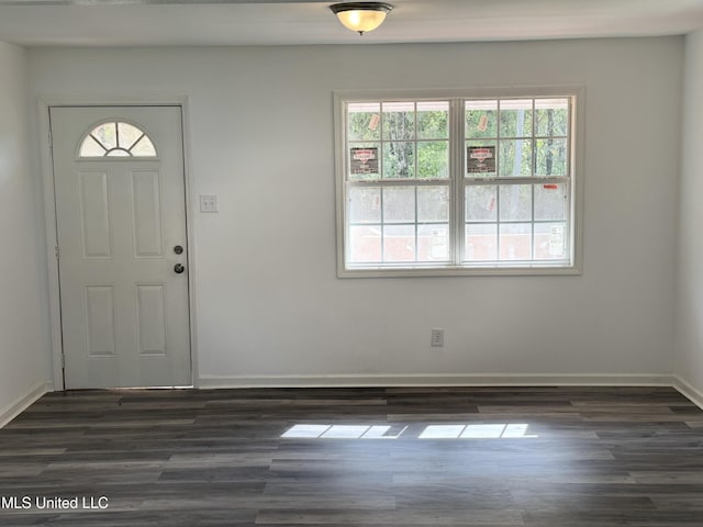 100 Warren St, Como, MS 38619 - foyer featuring plenty of natural light, dark wood-style floors, and baseboards
