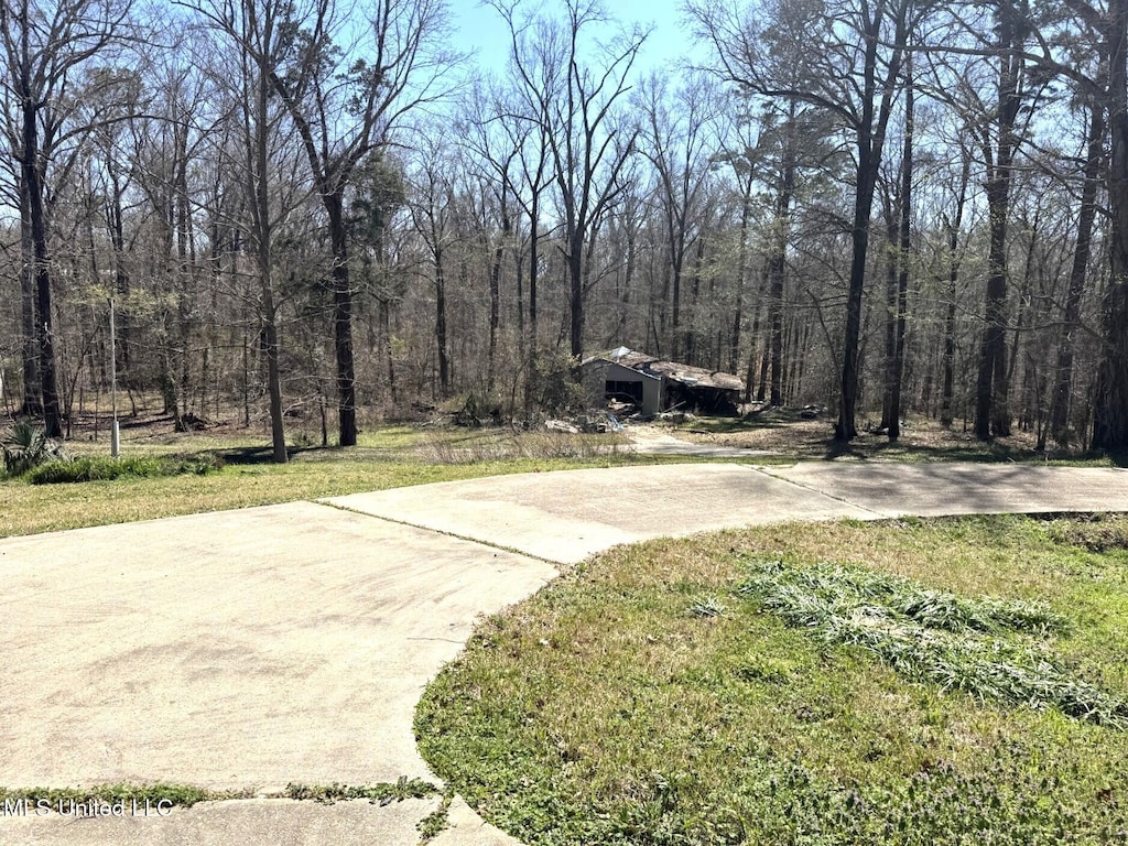 view of yard with driveway and a view of trees