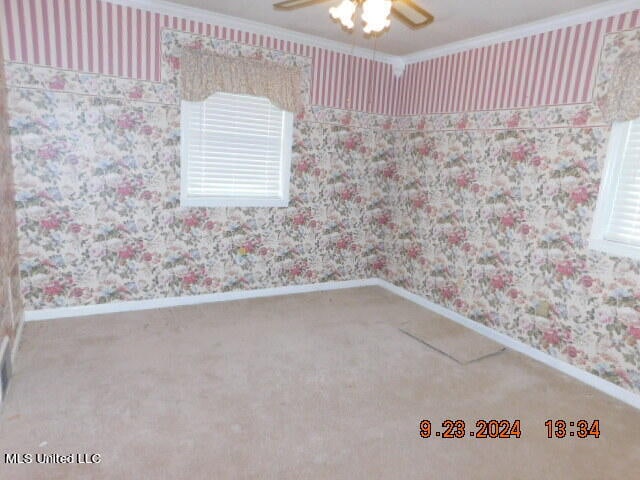 carpeted spare room featuring ornamental molding, plenty of natural light, and ceiling fan