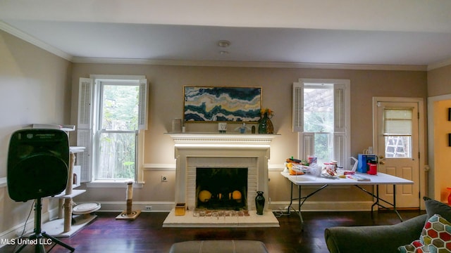 sitting room featuring crown molding, a healthy amount of sunlight, dark wood-type flooring, and a fireplace