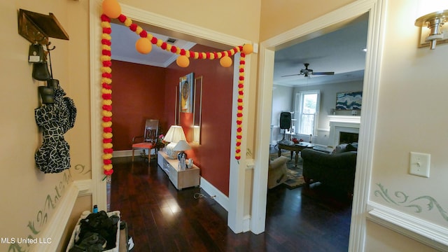 hallway with ornamental molding and dark hardwood / wood-style floors