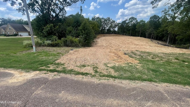152 Oak Manor Dr, Coldwater, MS 38618