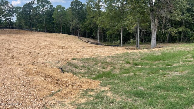152 Oak Manor Dr, Coldwater, MS 38618