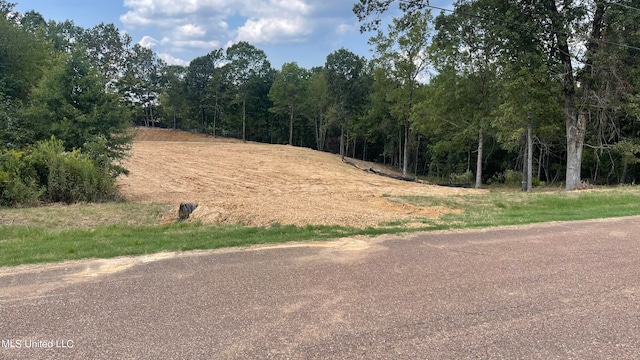 152 Oak Manor Dr, Coldwater, MS 38618