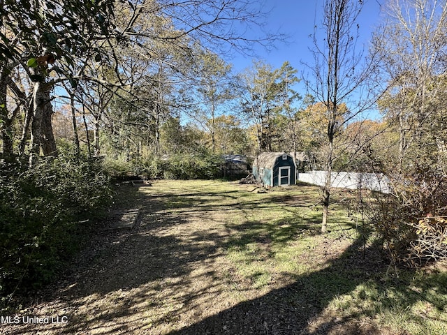 view of yard featuring a shed