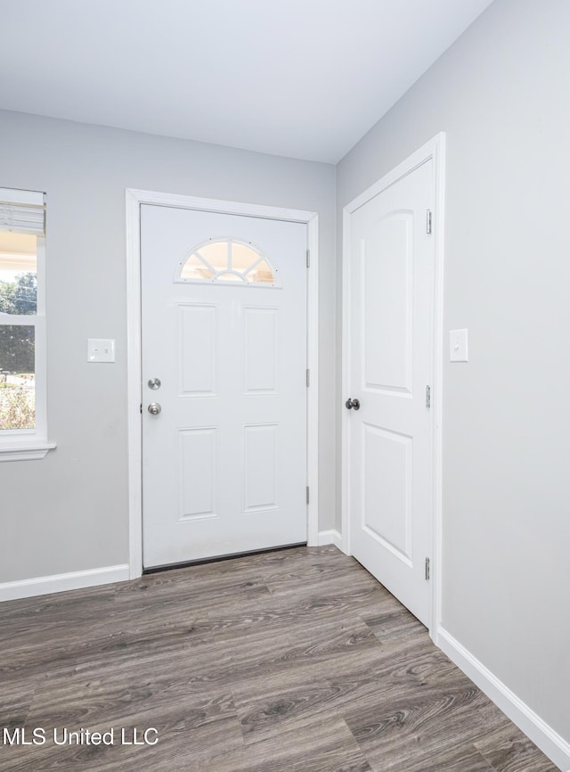 entrance foyer featuring hardwood / wood-style floors