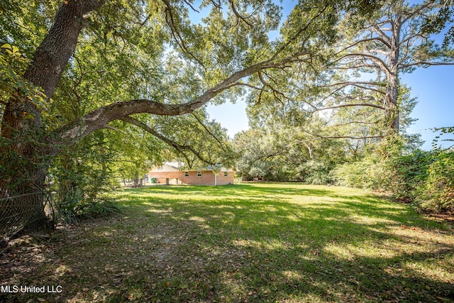 view of yard