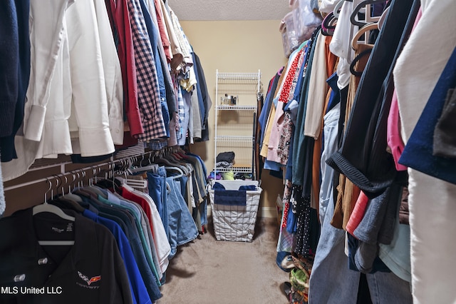 spacious closet with carpet flooring