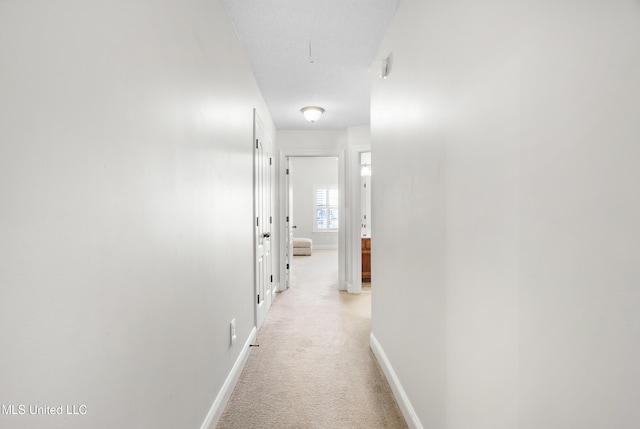 corridor featuring light carpet