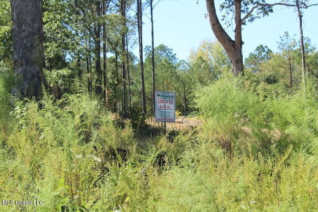 Louise Rd, Byhalia MS, 38611 land for sale