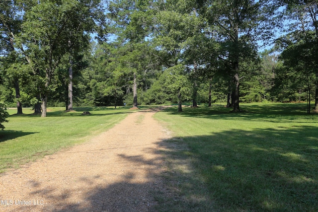 view of road