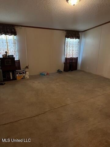 empty room featuring plenty of natural light and a textured ceiling