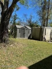 view of yard with a storage shed and an outdoor structure