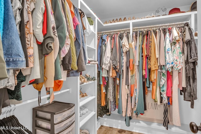 walk in closet featuring hardwood / wood-style flooring